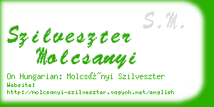 szilveszter molcsanyi business card